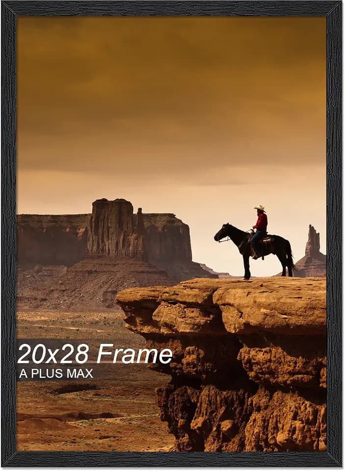 A PLUS MAX 20x28 Picture Frame Black Light Weight Wall Mount