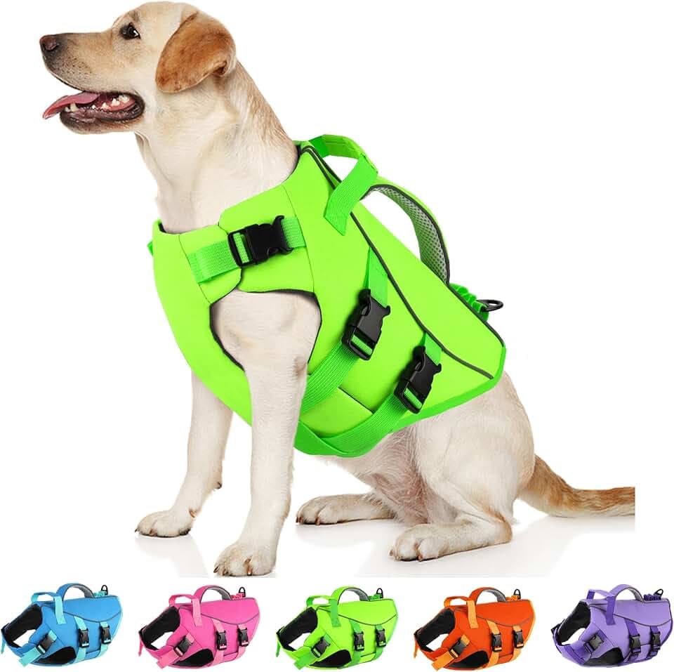 Dogcheer Dog Life Jacket with Double Rescue Handle, Reflective Dog Life Vest for Swimming Boating, Adjustable Pet Swim Vest Dog Flotation Device DFD for Small Medium Large Dogs - Green M