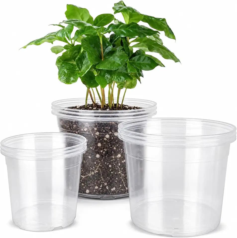6/8/10 Inch Clear Nursery Pots with Drainage, Plastic Pots for Plants