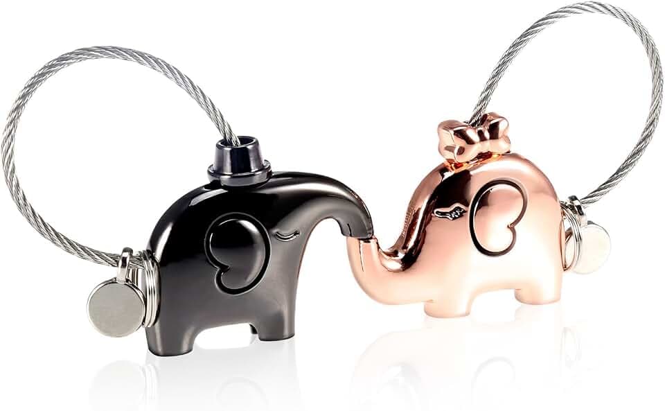 Schlüsselanhänger Paar Liebe, Magnet Abnehmbar Schlüsselanhänger Personalisiert Design Geburtstagsgeschenk Frauen Männer Freund Freundin