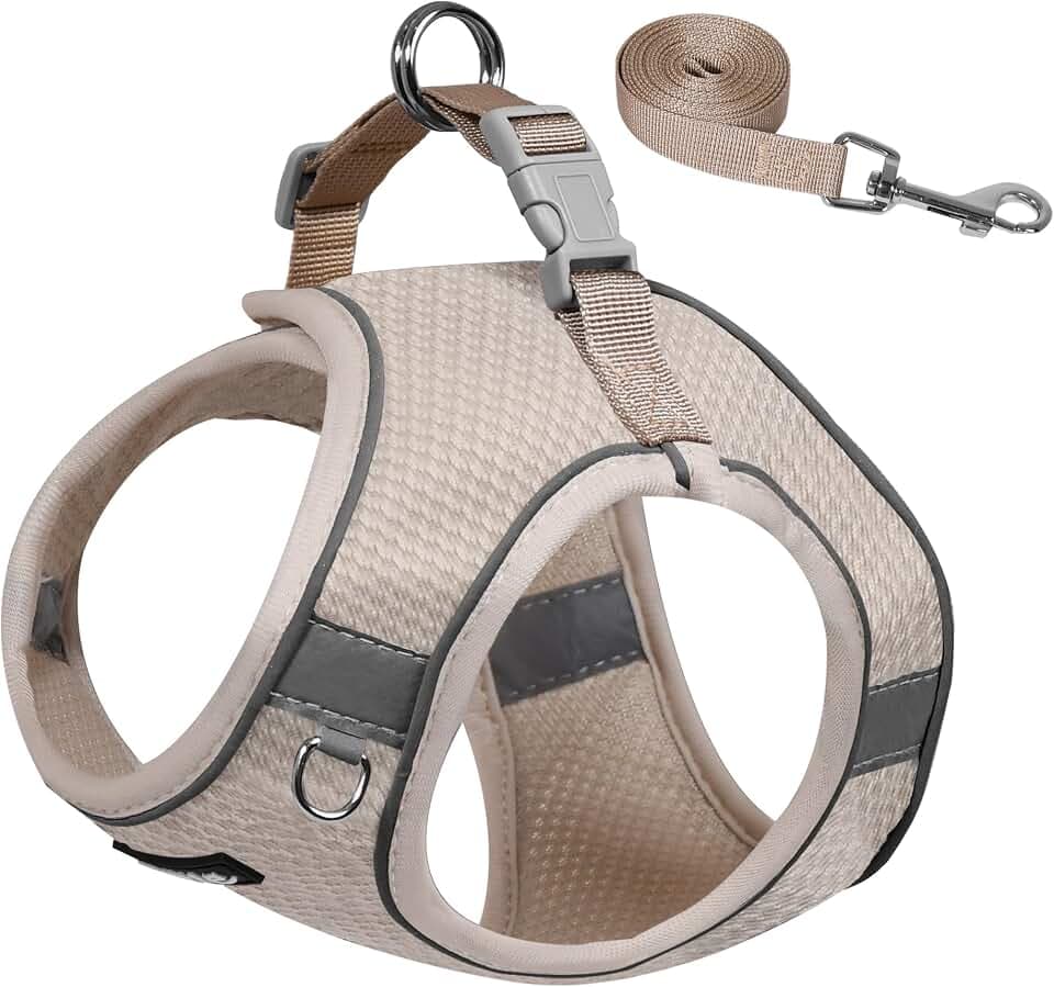 AIITLE Hundegeschirr und Leine, kein Ziehen, verstellbares Hundegeschirr mit gepolsterter Weste für jedes Wetter, reflektierendes Haustiergeschirr, einfach anzuziehen, für kleine Hunde, Beige, Größe S