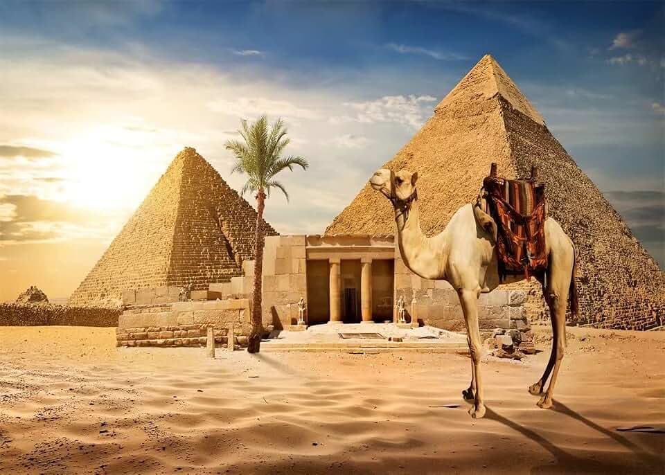 BELECO Pyramid Backdrop - 5x3ft Fabric Ancient Egyptian Desert Camel Coconut Tree Sunset Sky Background Nature Scenic Wallpaper