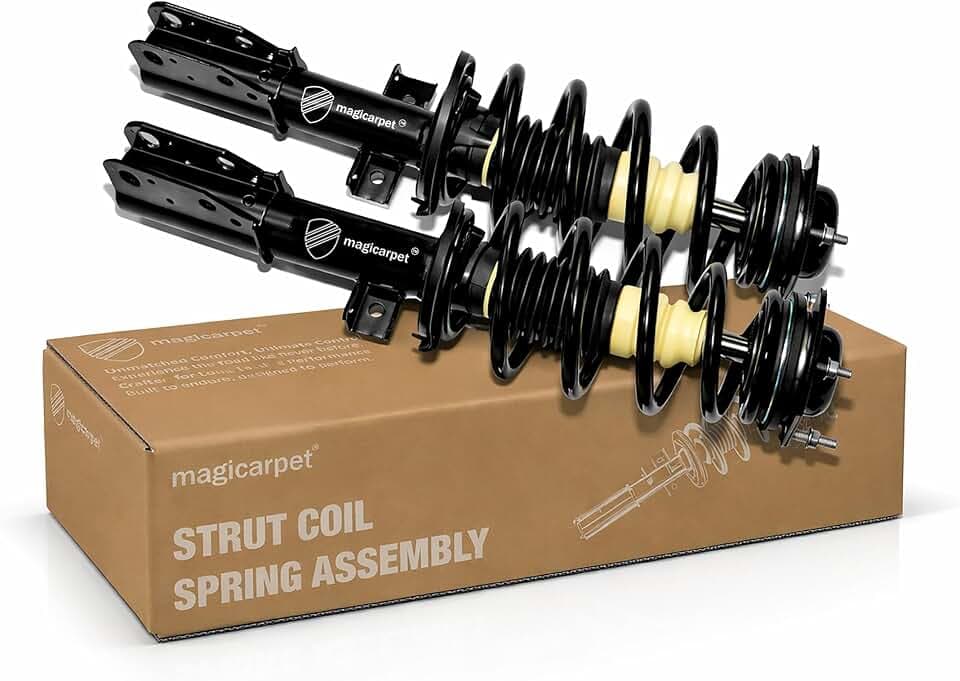 Front Complete Strut & Coil Spring Assembly, 2 Pcs