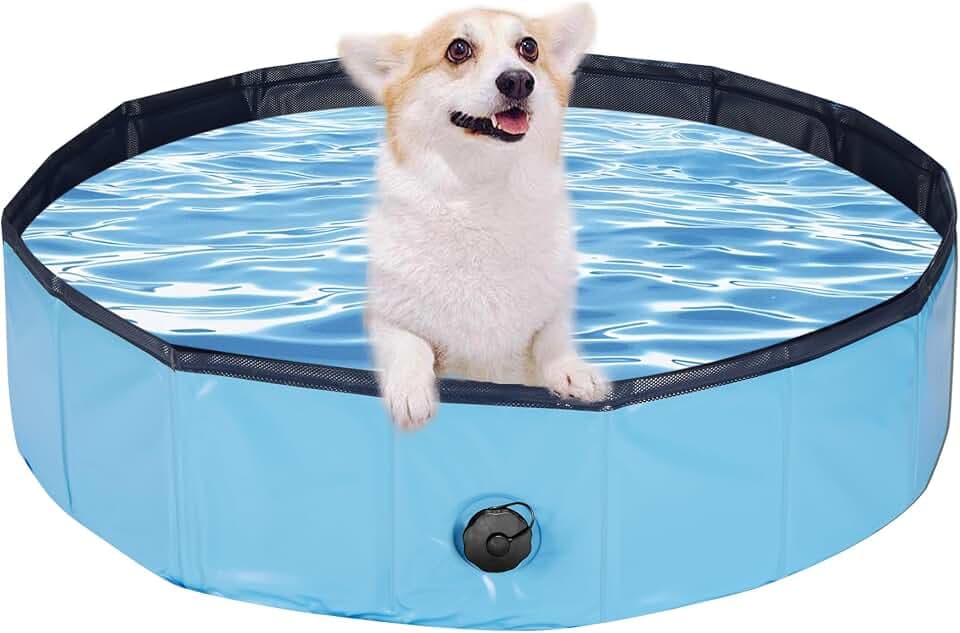 Hundepool, Faltbarer Swimmingpool 80x20CM Blau