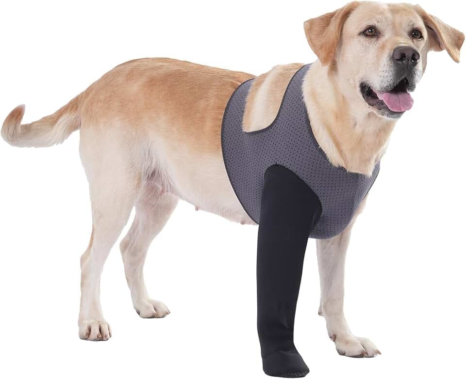 Dog Socks to Prevent Licking Paws ，Breathable Dog Leg Sleeve to Stop Licking and Biting， Firm and Secure Protect Wounds Dog Recovery Sleeve Socks(L-Right)
