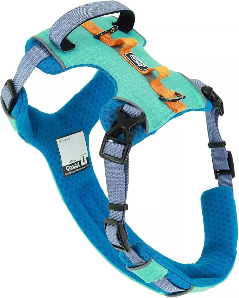 K9 Explorer® Trek Full-Coverage Dog Harness, Atlantic, Small - 16"-24"