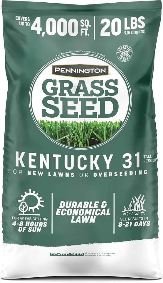 Pennington Kentucky 31 Fescue 20 lb Tall Fescue Grass Seed, Grass Seeds for Lawn