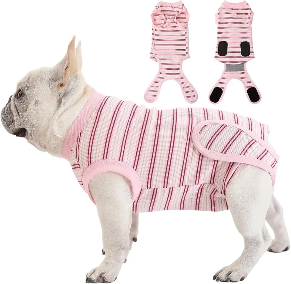 Kintor Dog Recovery Suit for Female Spay, Cone Alternative Surgery Onesie