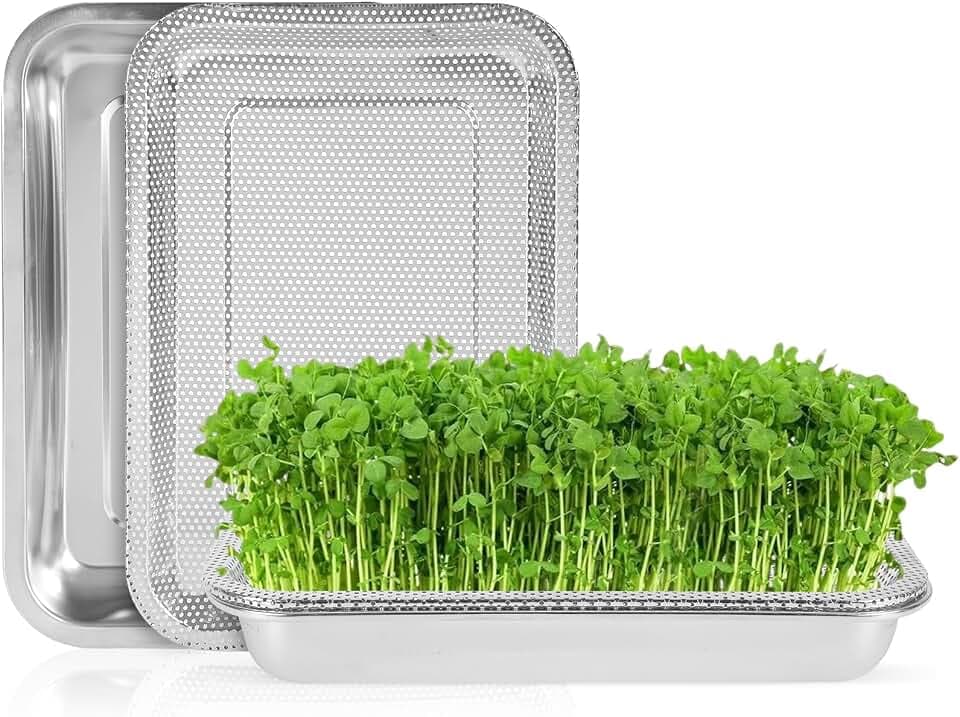 2er Set Sprossen-Anzuchtset mit Edelstahlsieb, 32x22 cm Keimschalen Set zur Anzucht von Sprossen, Katzengras, Kresse & Microgreens, Profi Wiederverwendbare Hydrokultur-Anzuchtschale,Kresseschale