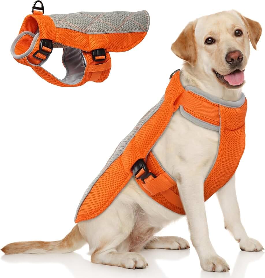 Kühlweste für Hunde, Kühlweste Hund mit D-Ringe Sommer Kühlmantel für Hunde Kühlgeschirr Atmungsaktiv Kühlende Hundeweste, Hundekühlweste für Heißen Sommertagen, Orange XL