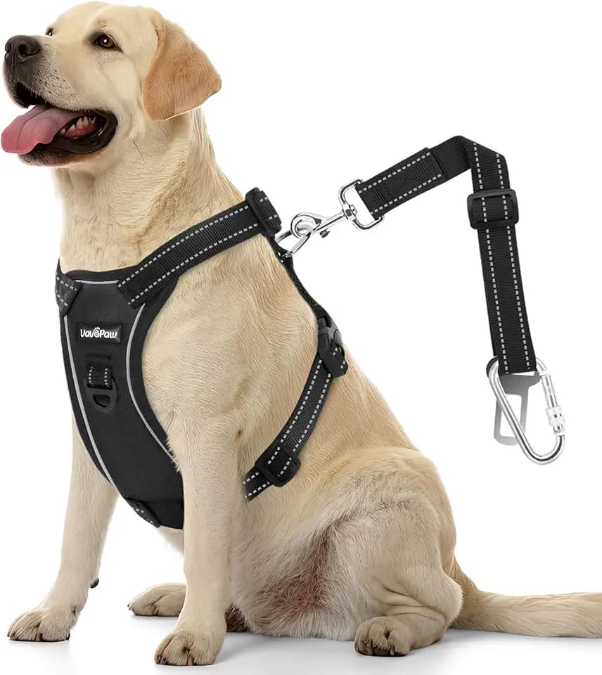 VavoPaw Dog Car Belt, Dog Harness Reflective Strip & Adjustable Buckle, Dogs Car Leash Seat Belts, Dogs Seats Belt Soft Padded & Breathable Mesh, Safety Pet Seat Belts Cars Tether, XL, Carbon Black