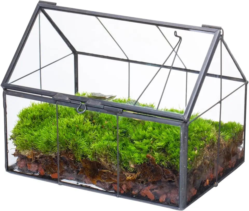 NCYP Geometrisches Mini Glas Terrarium mit Deckel, 15,5 x 10,8 x 12,5 cm, Hausform geschlossener Übertopf für kleine Sukkulenten Pflanzen, Handgefertigt Heimgarten Büro Tischdekoration (Nur Terrarium)