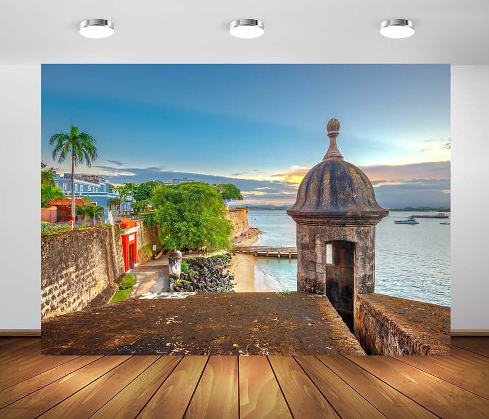 BELECO 8x6ft Fabric Puerto Rico Backdrop San Juan, Puerto Rico Caribbean Coast Along Paseo de la Princesa Background for Party Decorations Home Wall Decor Photo Booth Shoot Studio Props