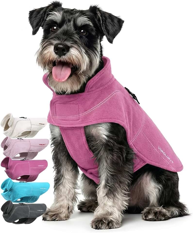 VIVAGLORY Wintermantel Hund Softpad Fleecejacke Hundemantel, S, Fuchsia