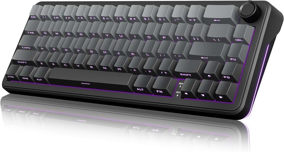 RedThunder K65 Wireless Mechanical Gaming Keyboard, Trip-Modes Connection, Gasket Custom Hot-Swap Keyboard, RGB Backlit, Pre-lubed Linear Switches, Side Engraved PBT Keycaps, Gradient Gray