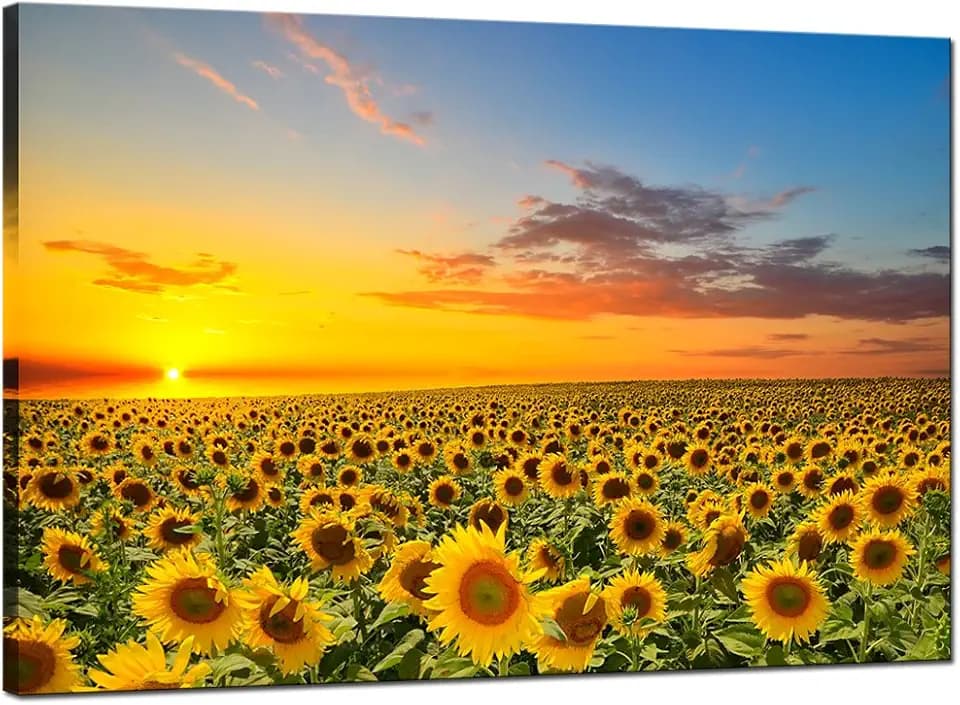 sechars Sunflower Canvas Wall Art Sunrise in Field Landscape Picture Painting Print Modern Living Room Decor,Framed Ready to Hang