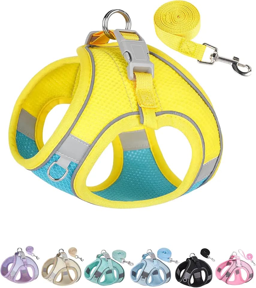 Solmoony Dog Harness for Small Medium Dogs No Pull, Puppy Harness and Leash Set, Puppy Harness for Small Dogs, Step in Harness for Small Dogs, Small Dog Harness, mesh Dog Harness. (Blue Yellow, M)