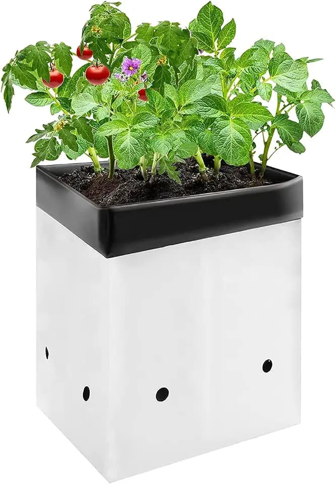 VIVOSUN 50-Pack 3 Gallon Plastic Grow Bags for Plants, Black & White