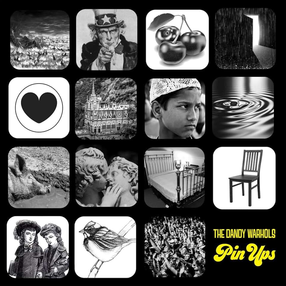 Pin Ups [Vinyl LP]