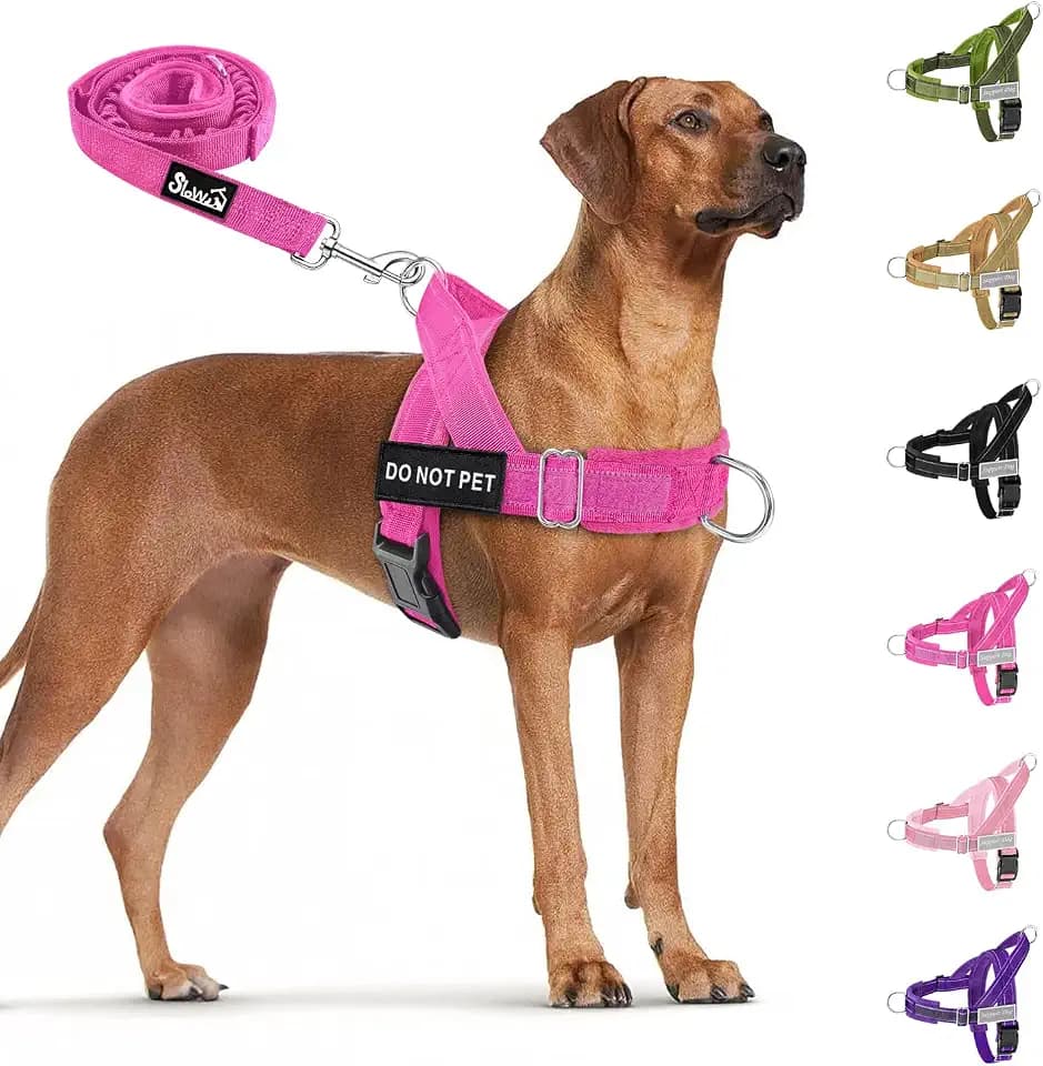 SlowTon No Pull Dog Harness and Leash Set - Heavy Duty, Soft Padded