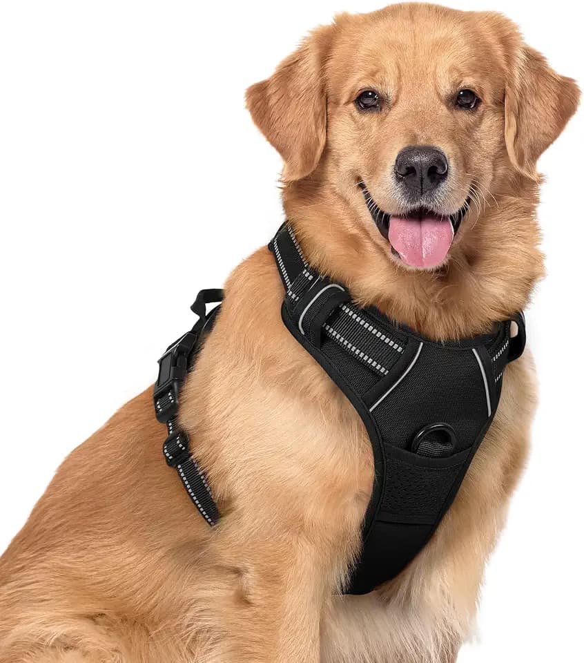 rabbitgoo Dog Harness, No Pull for Large Dogs with 2 Leash Clips, Pet Vest
