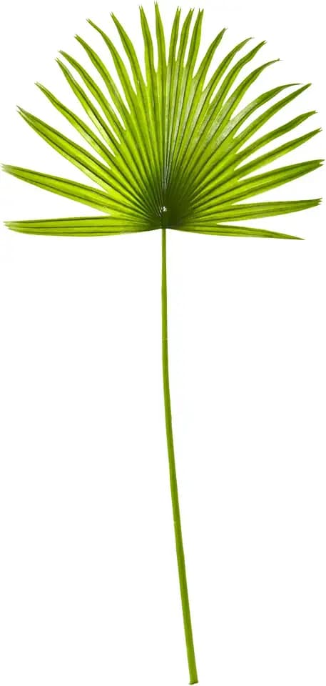 Nearly Natural 33in Artificial Fan Palm Spray Plant, Faux Palm Decor, Set 6
