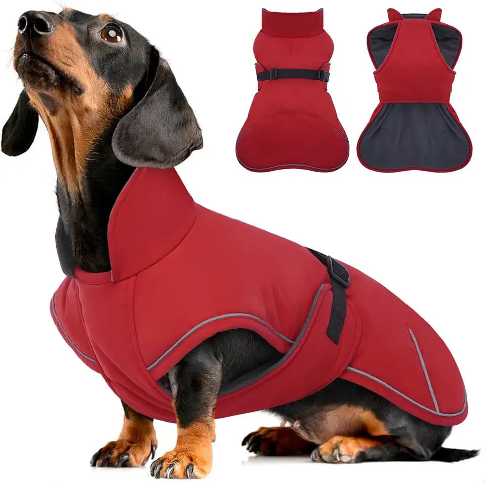 Hundemantel Dackel, Winddichter Wasserdichter Wintermantel Für Dackel Hunde, Hundejacke Für Große Hunde, Hundemantel Winter Mit Bauchschutz Und Leinenloch, Winterjacken Für Hunde - Rot