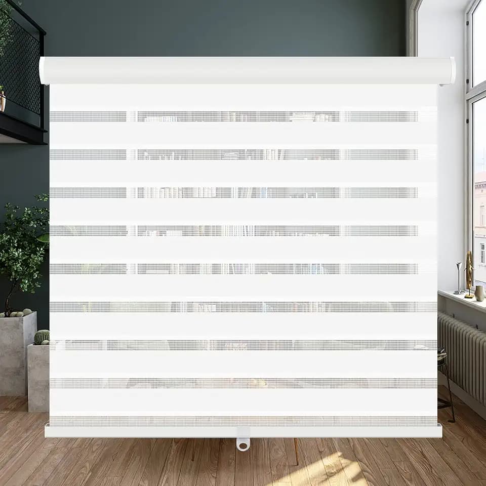 LUCKUP Cordless Zebra Blinds Roller Shades for Window-Dual Layer Sheer Blinds Light Control with Valance Day Night Privacy Light Filtering Fabric, 20" W x 72" H, White