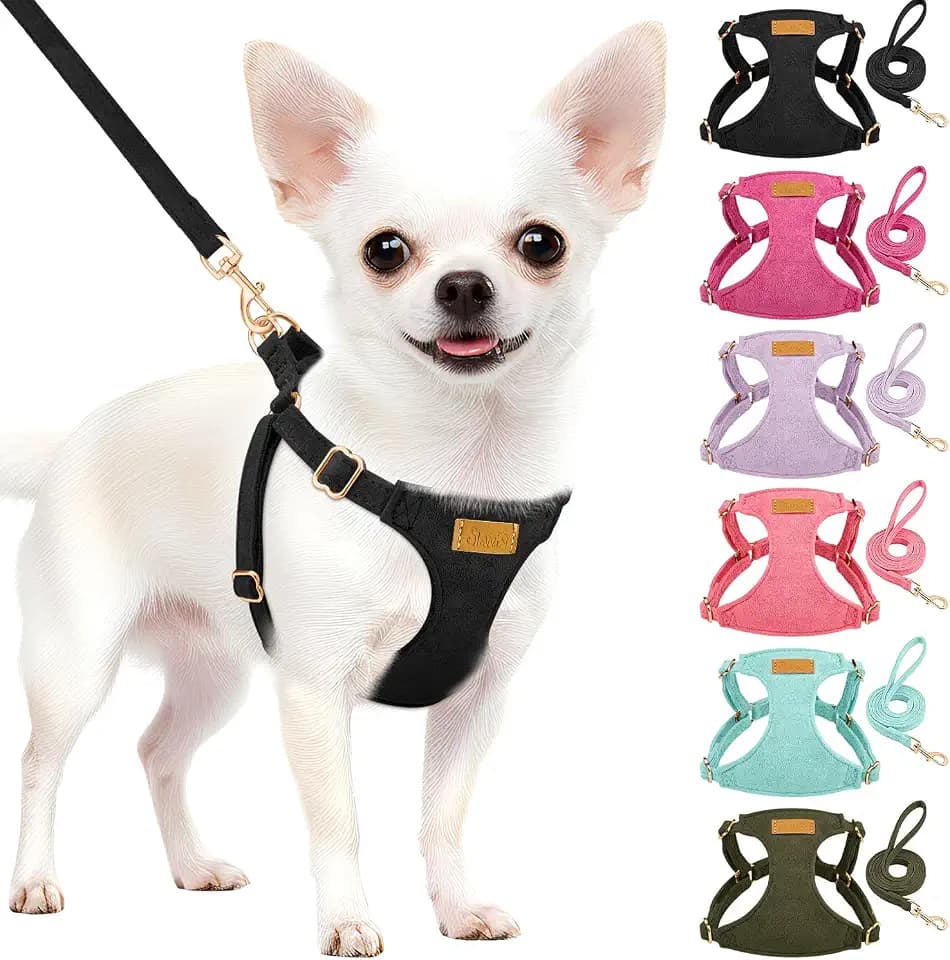 Lukovee Small Dog Harness and Leash Set， No Pull No Choke & Lightweight