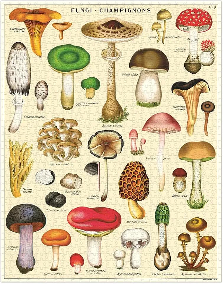 Cavallini & Co. 1000 Piece Vintage Puzzle, Mushrooms (PZL/MUSH), Adult