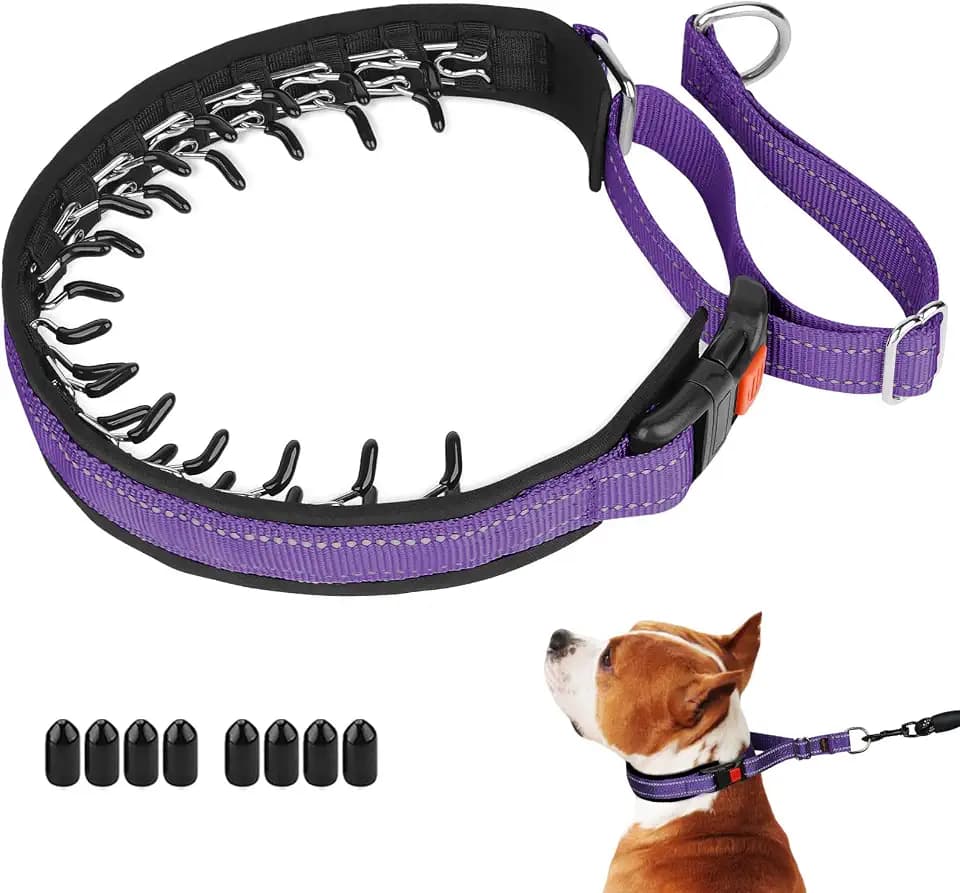 Mayerzon Martingale No Pull Collar for Medium Large Dogs | Purple, M