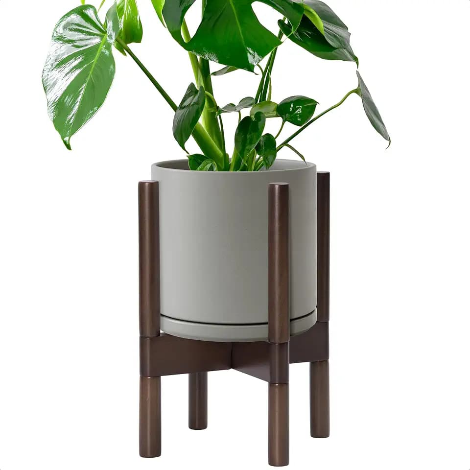D'vine Dev Ceramic Pot with Walnut Wood Stand, Grey, 8 in, 55-B-Y-3