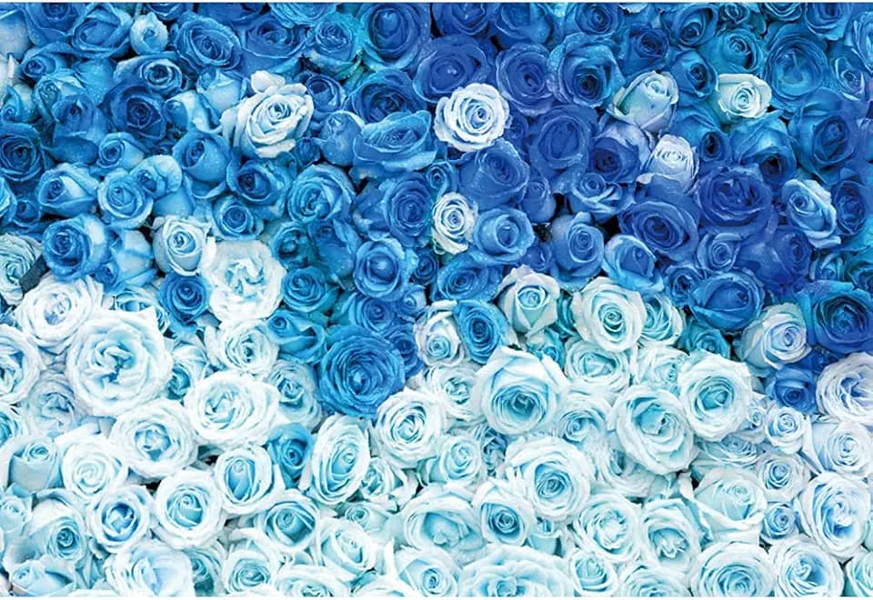 YongFoto 8x6ft Blue Rose Flower Wall Photography Background White Rose Floral Blossoms Backdrop Baby Bridal Shower Anniversary Ceremony Cake Smash Wedding Theme Party Decoration Photo Studio Props