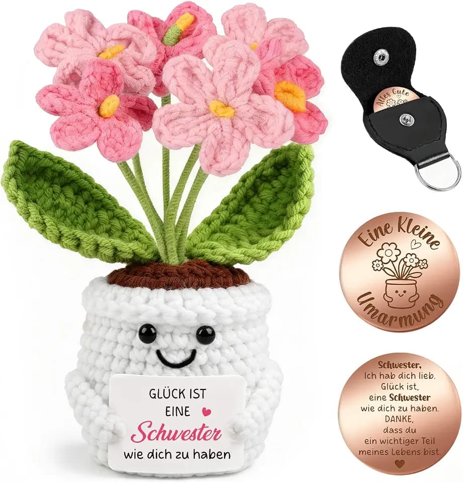 Giftota Geschenke für Schwester - Pocket Hug Vergissmeinnicht - Geburtstagsgeschenk - Dankeschön an Schwester - Geschenke für Frauen - Glücksbringer - Geschenkidee von Bruder & Schwester