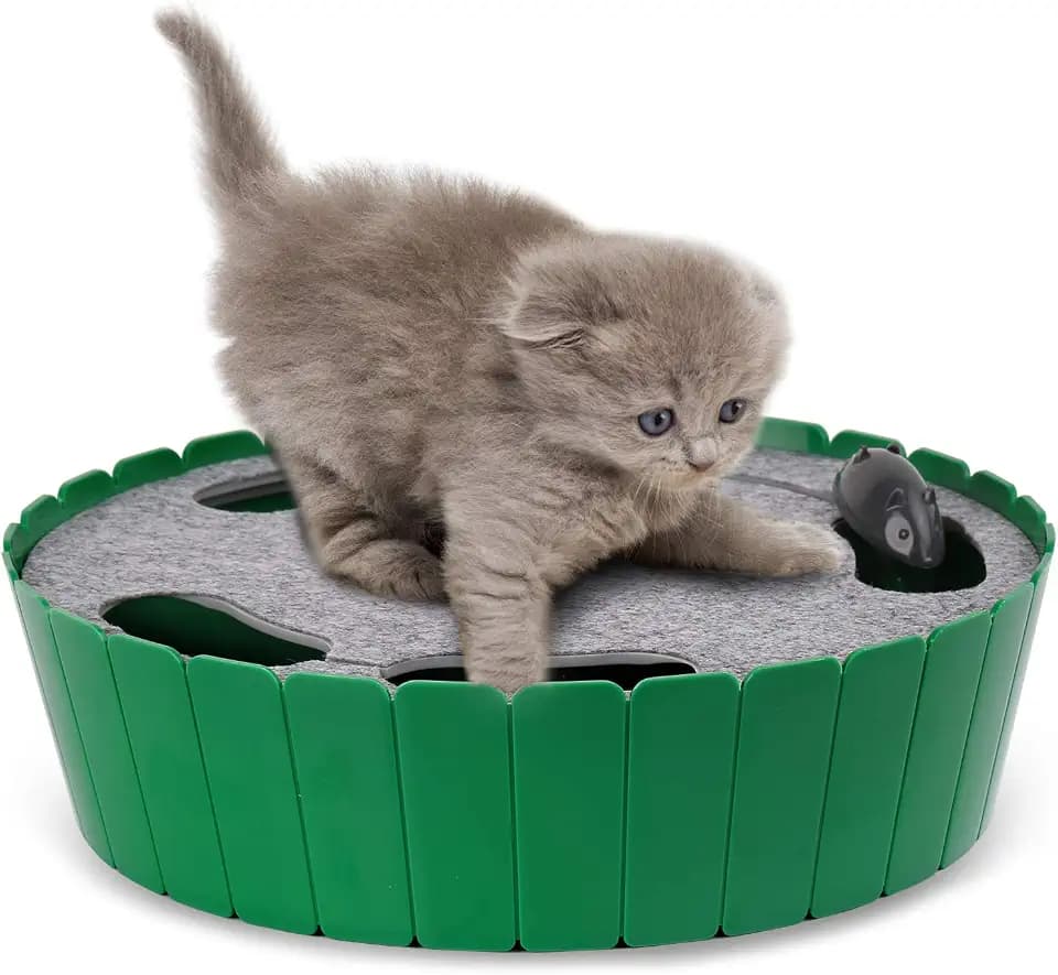 Pawaboo Interactive Cat Toy with Running Mouse, Automatic Track Kitten Toy