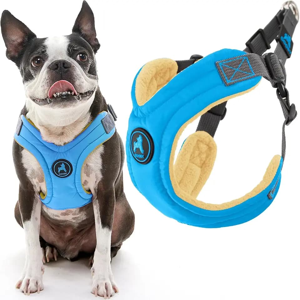 Gooby Escape Free Memory Foam Dog Harness, Step-in, Blue, Medium