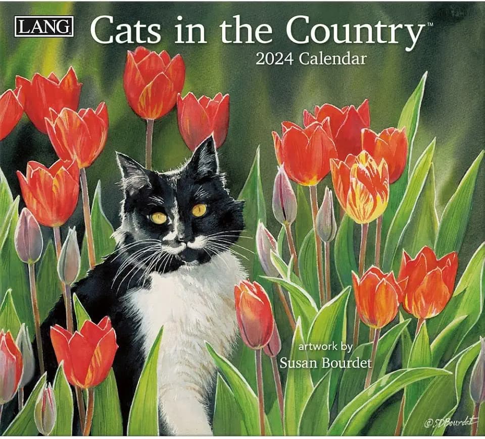 LANG Cats In The Country 2024 Wandkalender (24991001899)