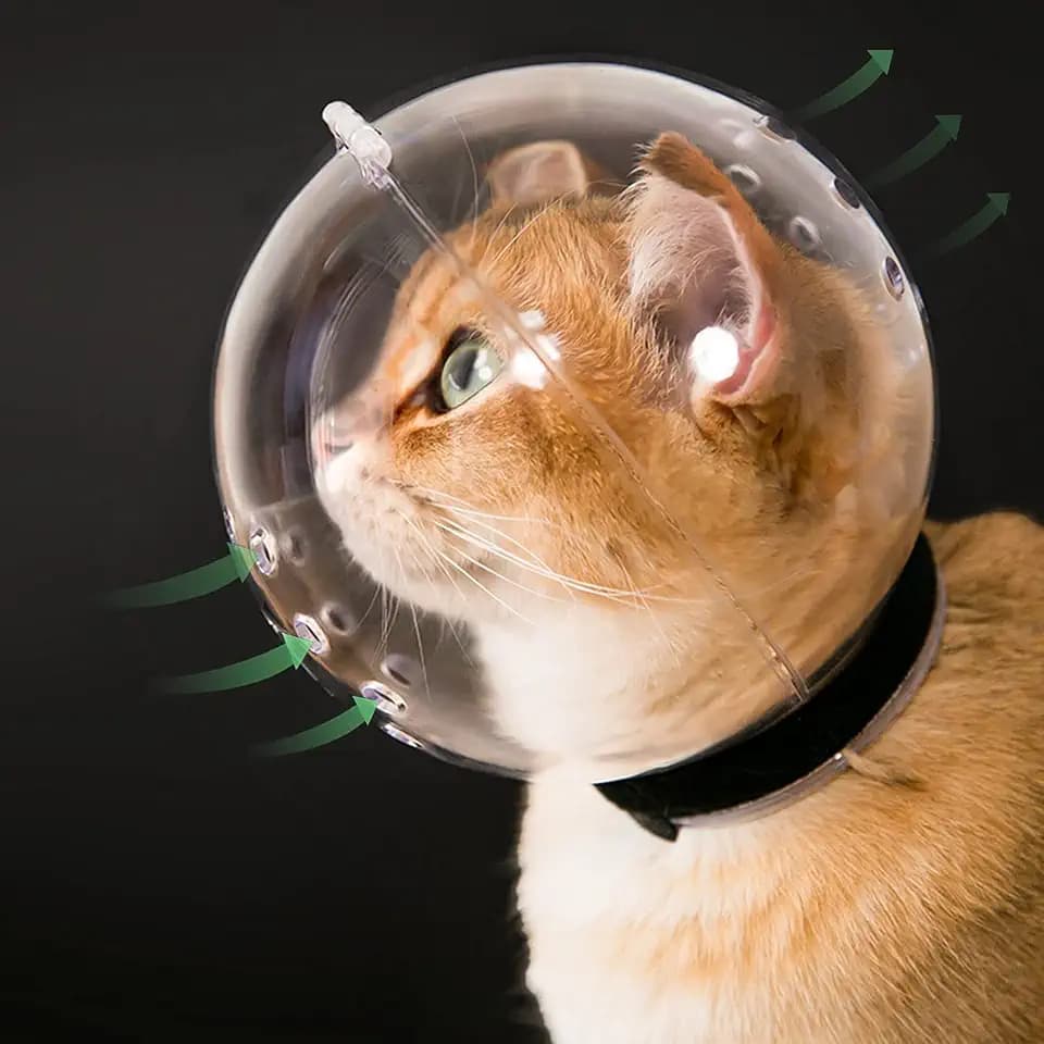 Cat Transparent Muzzle with Breathable Hood, Adjustable Kitten Helmet(L)