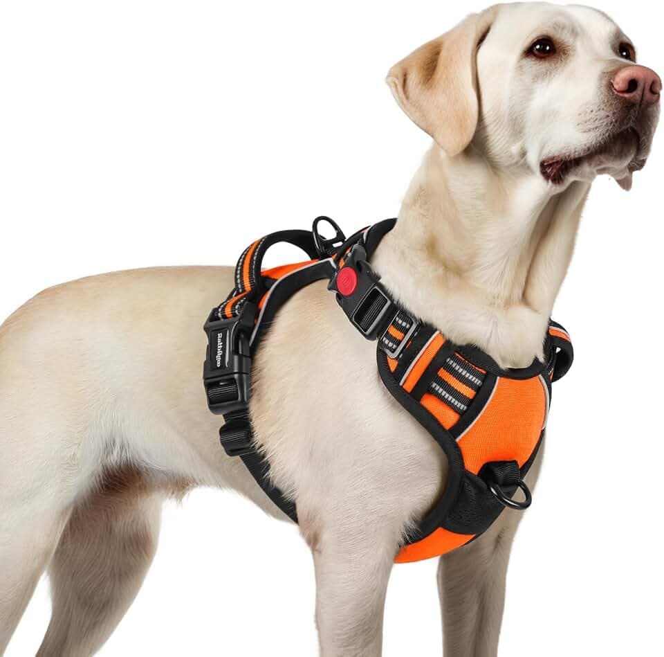 rabbitgoo Hundegeschirr Grosse Hunde Einfach Anlegen, L, Orange