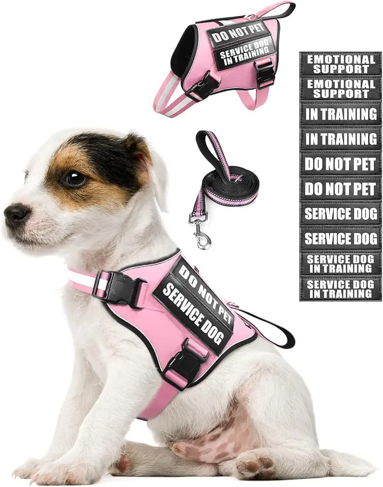 Small Service Dog Vest Harness and Leash Set+10 Patches Pink XS
