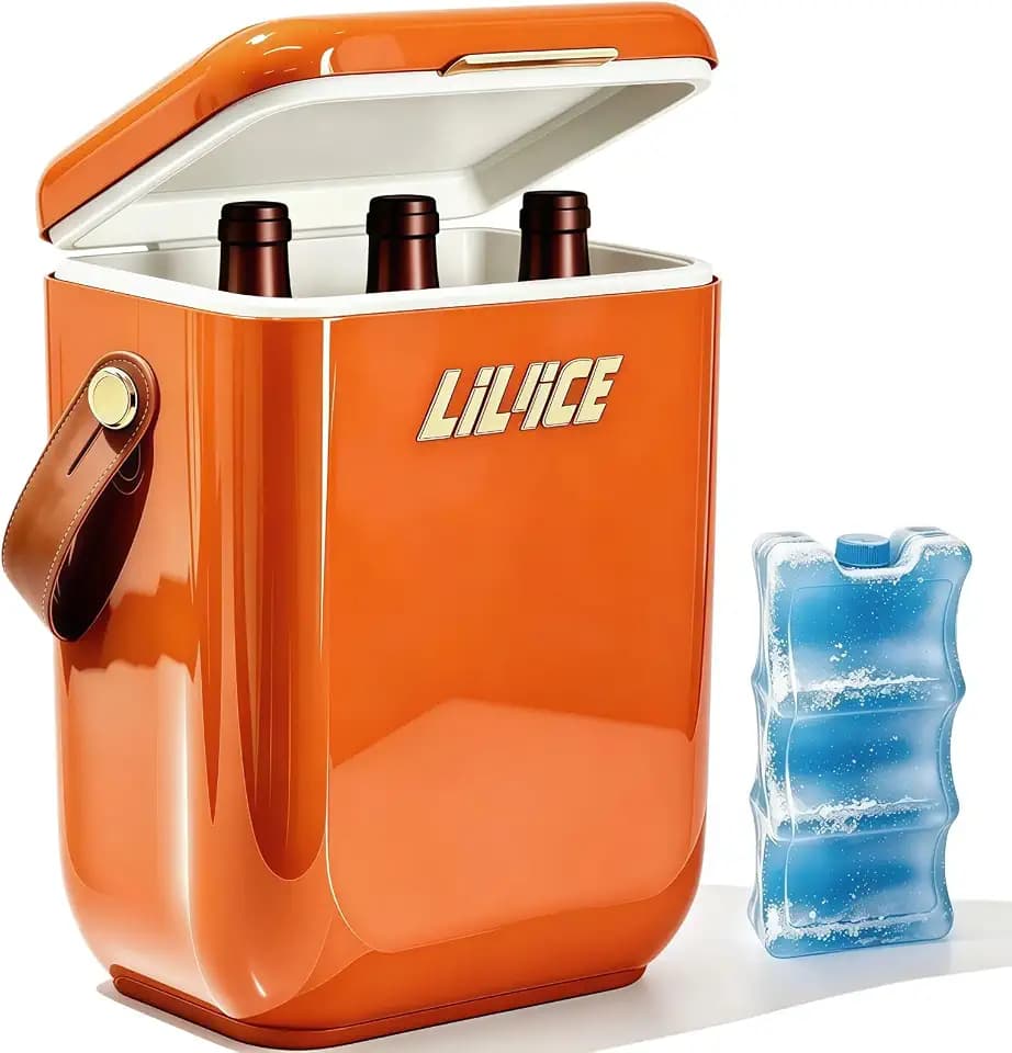 12QT Hardcase Wine Cooler, Hold 4 Wine Bottles Upright