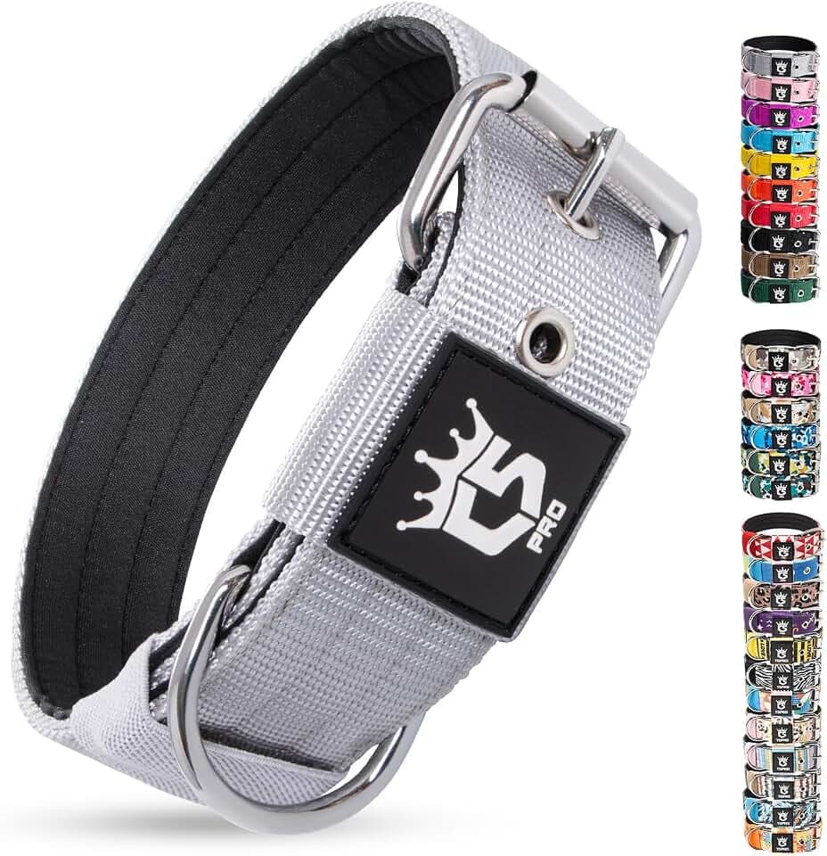 TSPRO Taktisches Hundehalsband für Kleine bis Mittelgroße Hunde, Gepolstert | Weich Gepolstertes Innenfutter, Robuste Metallschnalle, Verstellbar, Ideal Für Spaziergänge, 3,3 cm Breit (Silber, S)