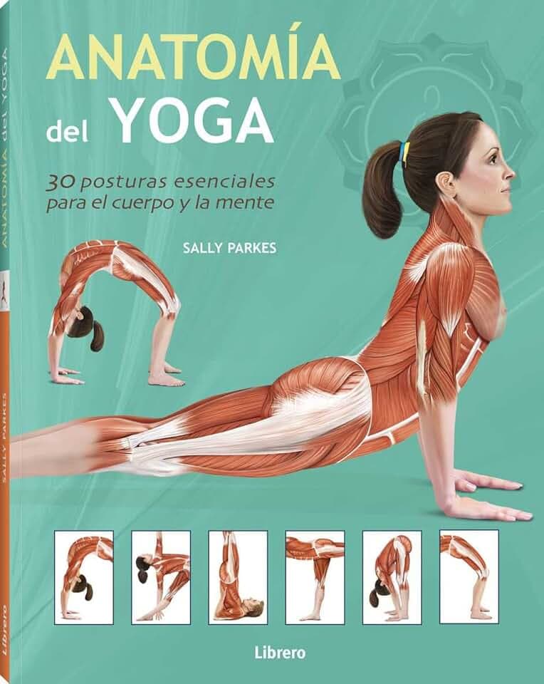 Anatomía del yoga