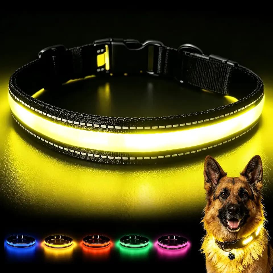 LaRoo Leuchtendes Hundehalsband, sicher für nächtliche Spaziergänge