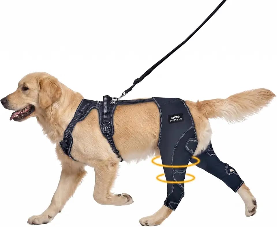 Dog Knee Brace for Back Leg, Adjustable ACL CCL Patella Support