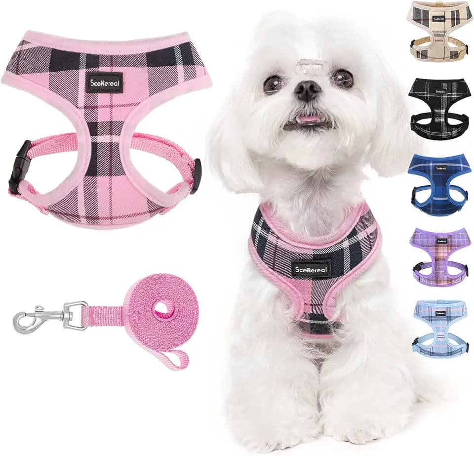 SCENEREAL Puppy Dog Harness with Leash Set for Small Medium Sized Dogs