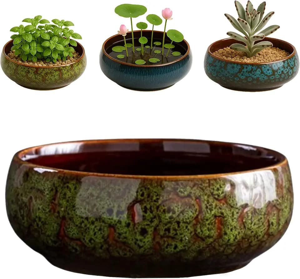Oncpcare Lotus Pflanzschale aus Glasierter Keramik (Grün) – Flaches Indoor Pflanzgefäß für Wasserpflanzen, Lotus-Samen, Sukkulenten und Bonsai, Ideal für Hydrokultur und Wohnraum-Deko
