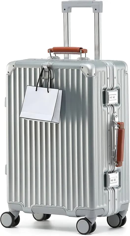 HotWay 20 Inch Carry On Luggage with Leather Handle,Silver