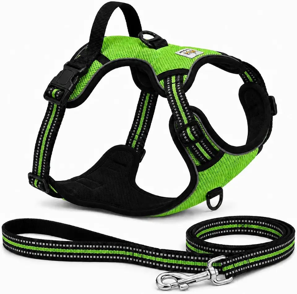 No Pull Dog Harness & Leash Set for Medium Dogs - Tactical Reflective Vest with Front Clip, Back D-Ring & Control Handle, Padded Breathable 1000D Nylon, Adjustable Quick-Release