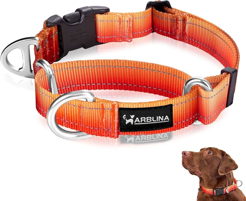 Arblina Martingale Hundehalsband, Reflektierendes Zugstopp Halsband Hunde für Große Mittlere und Kleine Hunde, Nylon Zughalsband mit Stopp für Hunde Whippets, Greyhounds, Saluki, Orange,M